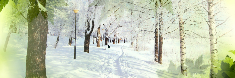 WINTER 2015