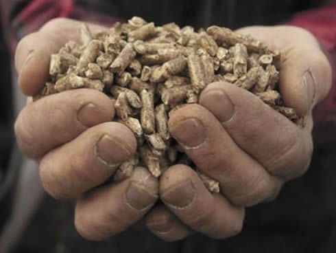 Pellet